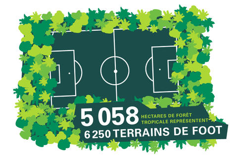 Journée Mondiale de l’Environnement, Prologis Réitère son Engagement de Réduire l’Empreinte Carbone Journée Mondiale de l’Environnement, Prologis Réitère son Engagement de Réduire l’Empreinte Carbone