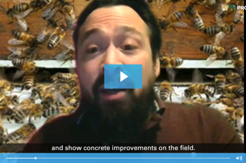 Promoting biodiversity and cutting environmental impacts: a project for continuous improvement with BeeOdiversity Promoting biodiversity and cutting environmental impacts: a project for continuous improvement with BeeOdiversity