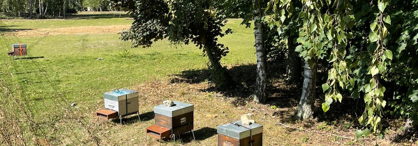 300 à 500 Kg de miel produits chaque année grâce aux ruches installées dans le parc 300 à 500 Kg de miel produits chaque année grâce aux ruches installées dans le parc