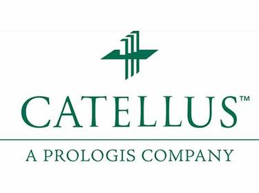 Catellus