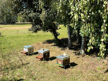 300 à 500 Kg de miel produits chaque année grâce aux ruches installées dans le parc