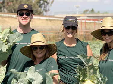 Team members volunteer during impact day