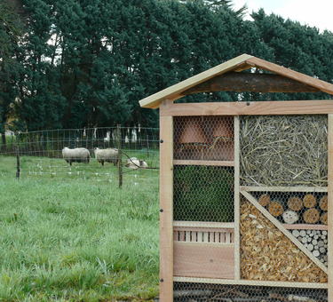 Insect Hotels